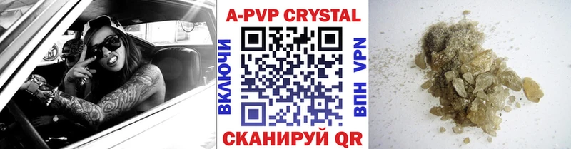 Псилоцибиновые грибы Темников
