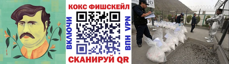 Cocaine Эквадор  mega ссылка  Темников  где купить наркоту 