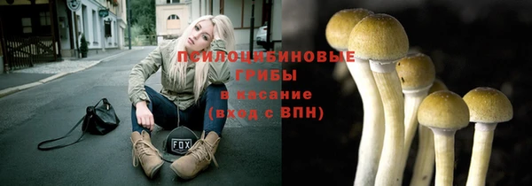 а пвп мука Няндома